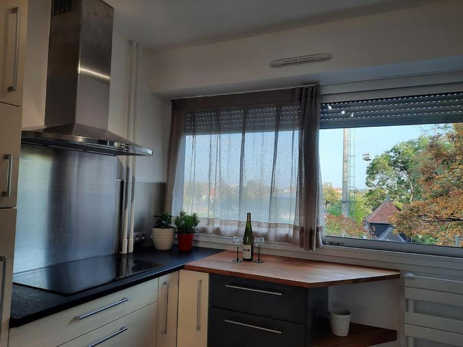 Chez Alice Apartment Colmar Luaran gambar