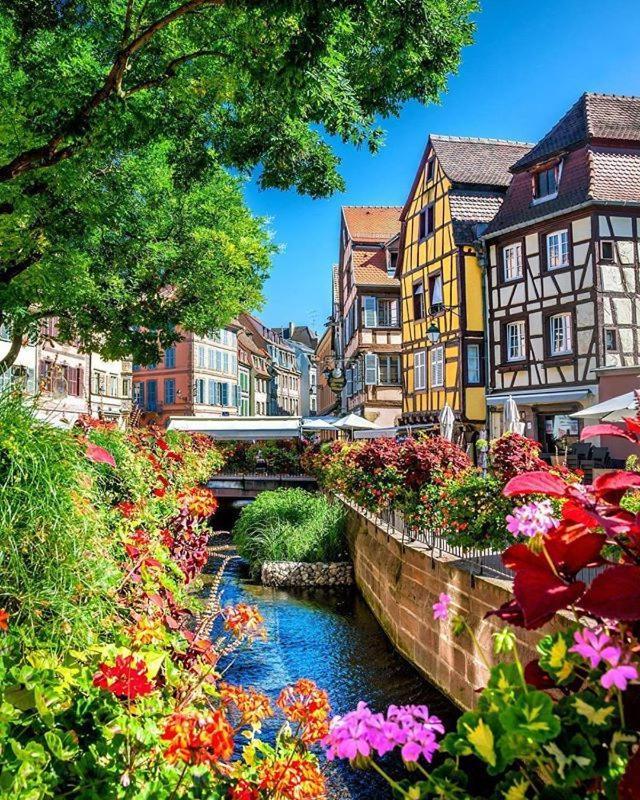 Chez Alice Apartment Colmar Luaran gambar